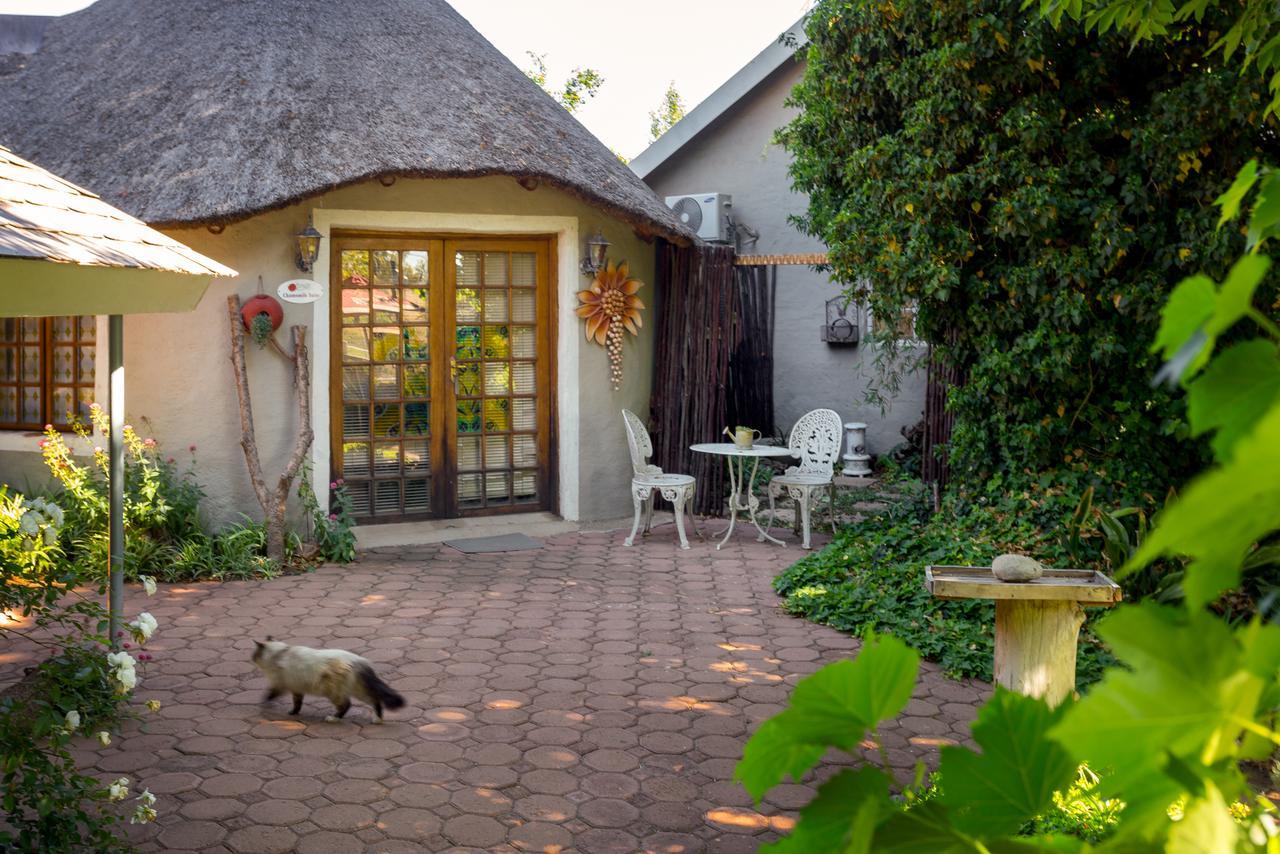 Morning Glory Cottages Venterstad Exterior photo